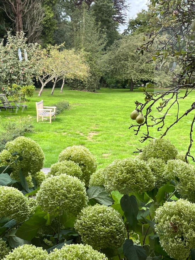 D'aumont Bed & Breakfast 4*
