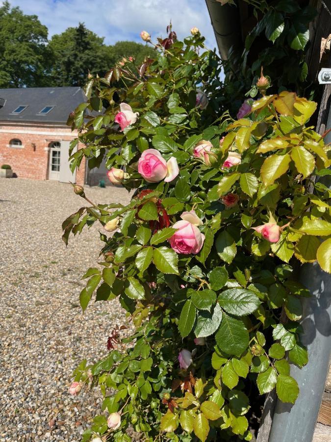 Bed & Breakfast D'aumont