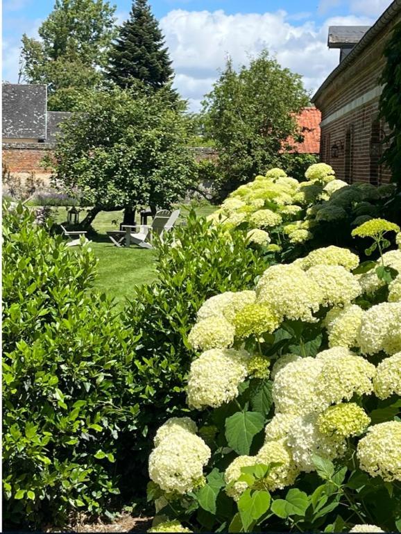 D'aumont Bed & Breakfast