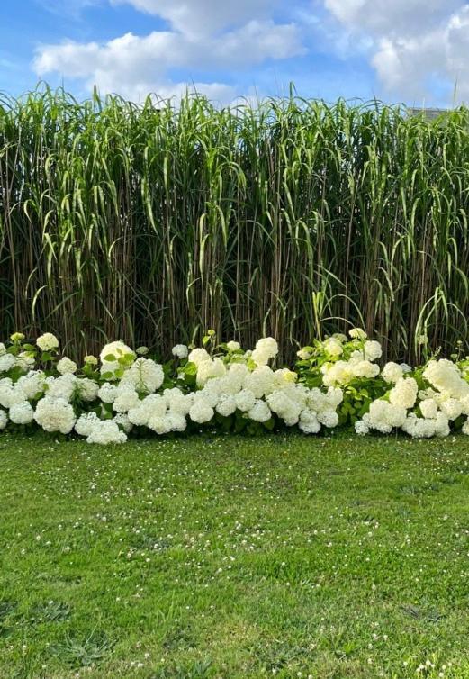 Bed & Breakfast D'aumont 4*