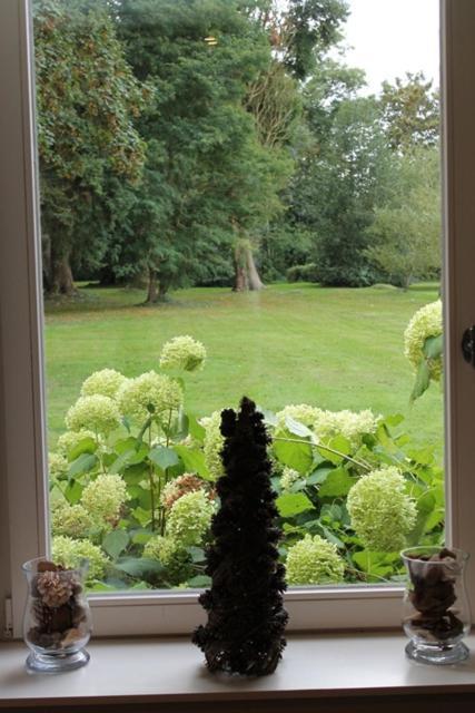D'aumont Bed & Breakfast