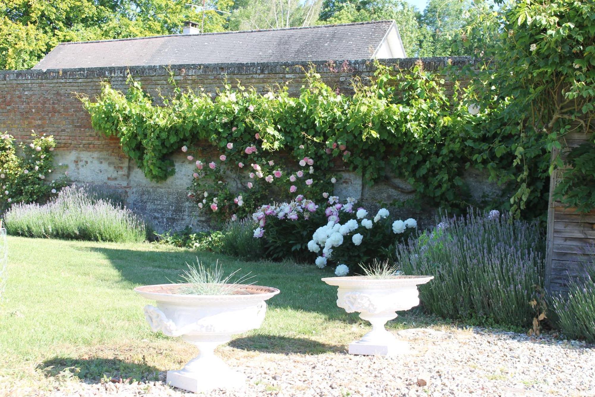 D'aumont